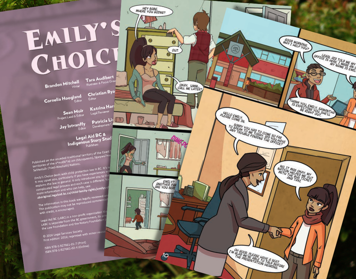 Emily's Choice Artwork